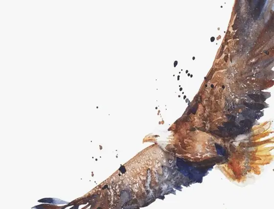 Yeraltı Diyarının Kartalı (Anadolu Masalı)