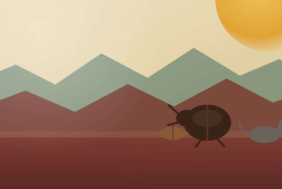 The Dung Beetle - an Anatolian folk tale: a beetle, a walnut shell and a rat