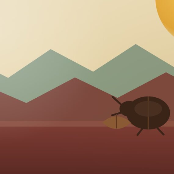 The Dung Beetle - an Anatolian folk tale: a beetle, a walnut shell and a rat